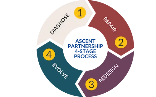 ASCENT Partnership Diagram of 4 Stage Process